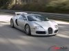 veyron06_09.jpg